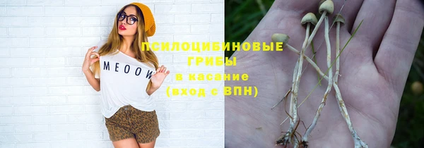 первитин Каменка