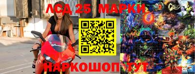 spice Сланцы