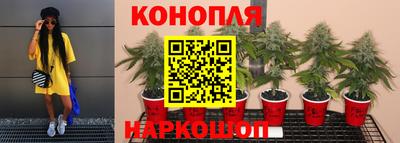 соль курить ск Коммунар