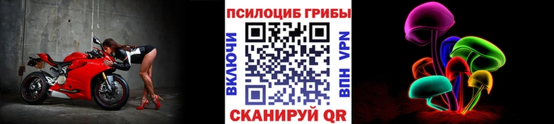 omg зеркало  магазин продажи   Лянтор  Псилоцибиновые грибы Cubensis 