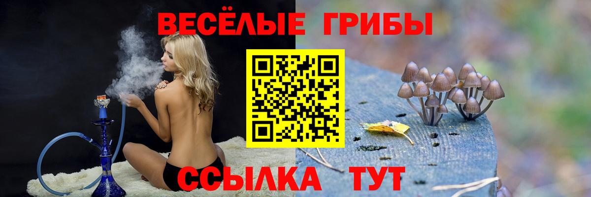 Лянтор  Галлюциногенные грибы Psilocybine cubensis  как найти наркотики  Вход с VPN 